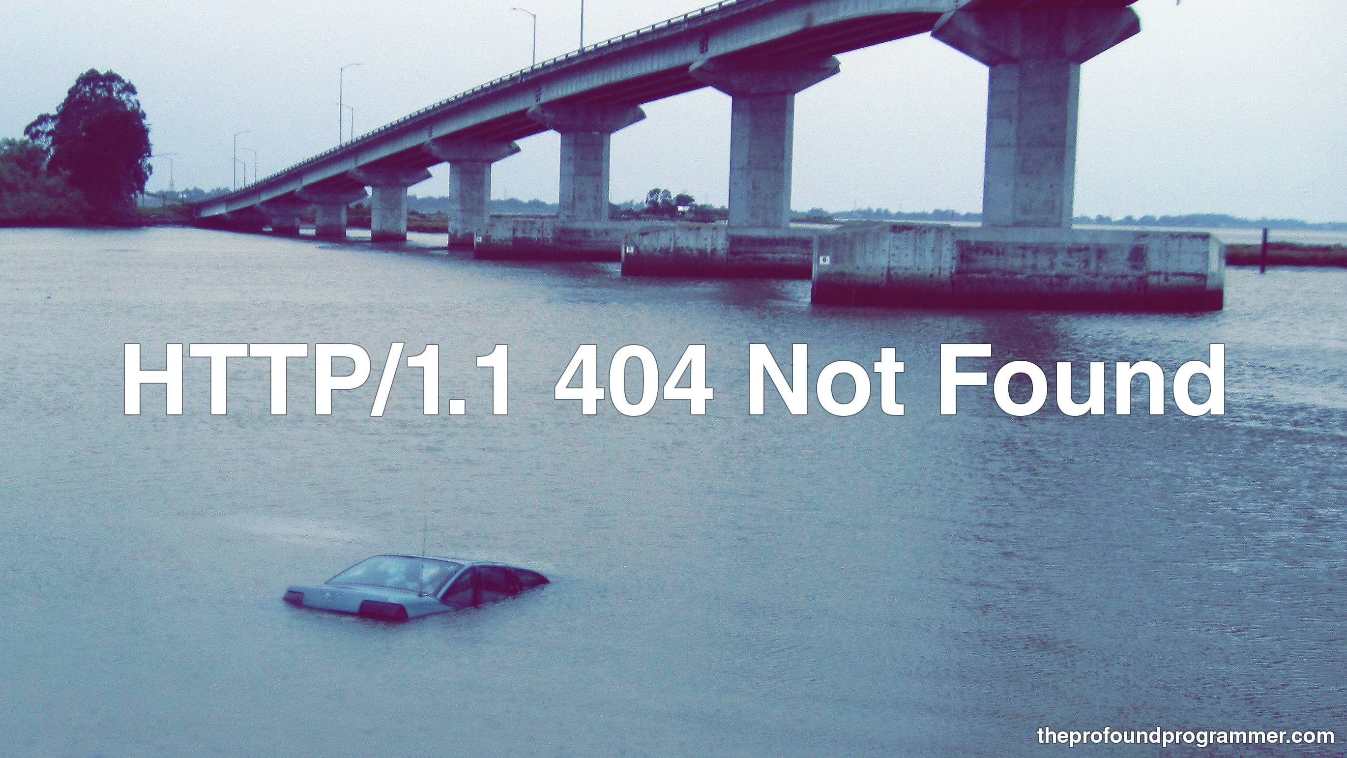 The Profound Programmer