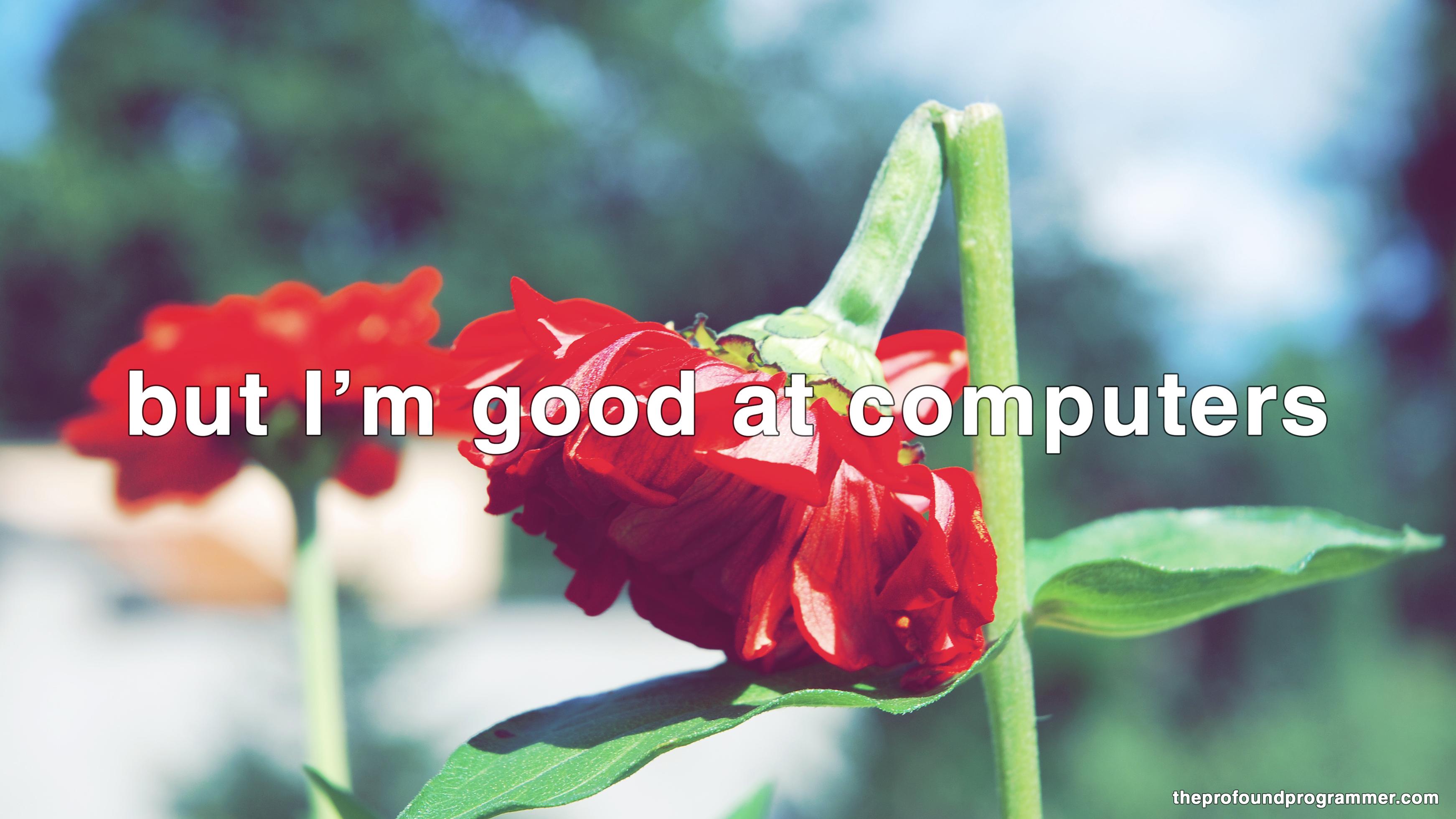 The Profound Programmer