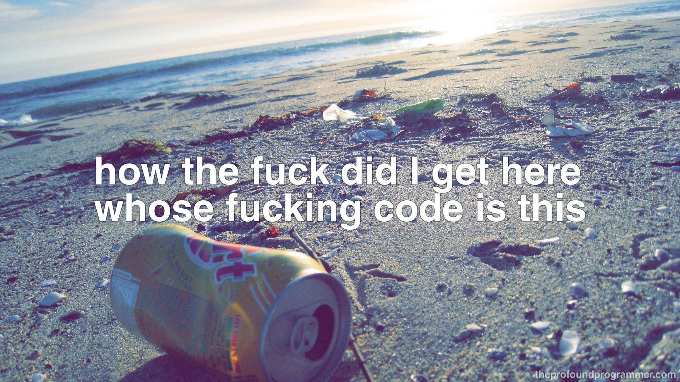 The Profound Programmer