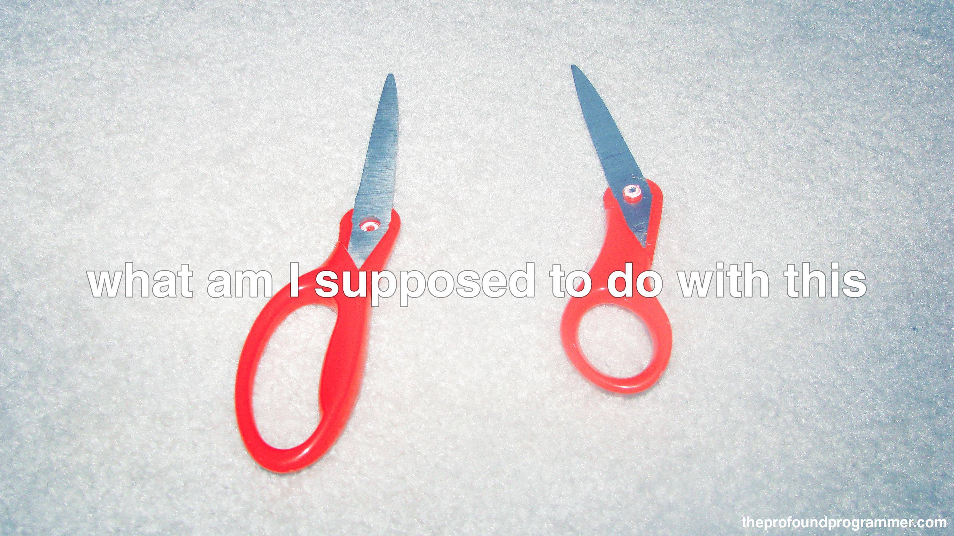 The Profound Programmer