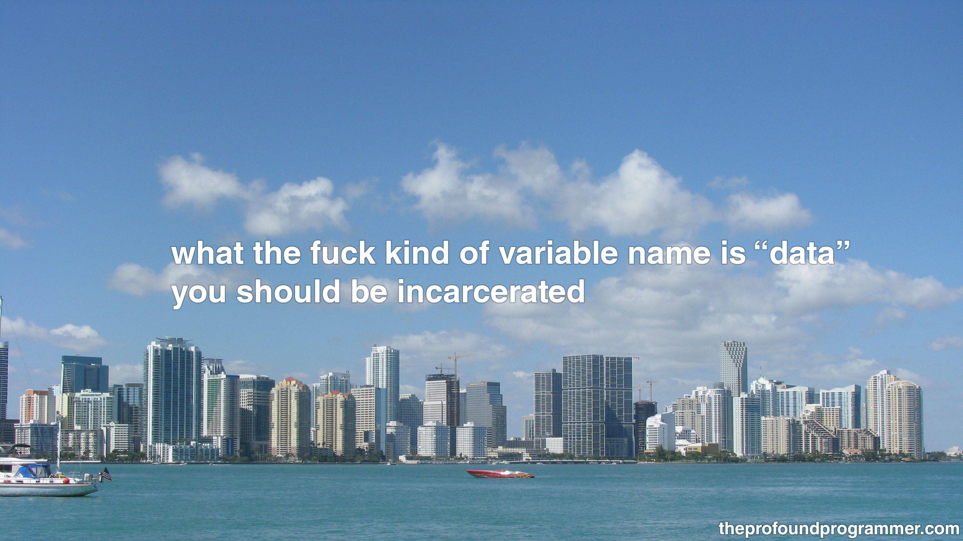 The Profound Programmer